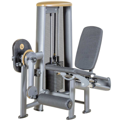 L+K Seated Leg Extension - E - 100Kg 