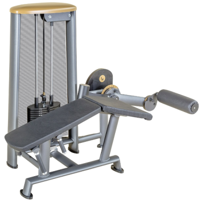 L+K Lying Leg Curl - E - 80Kg 