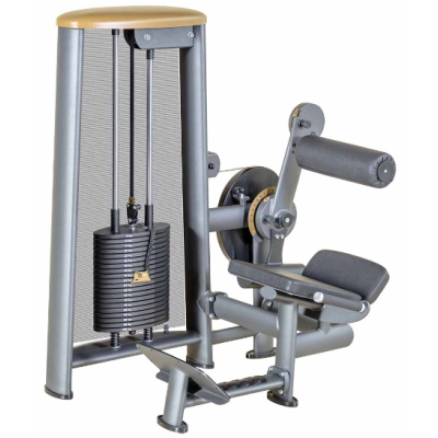 L+K Lower Back - E - 100Kg 