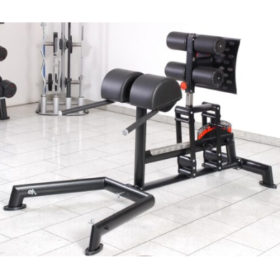 L+K Glute Ham Raise - E 
