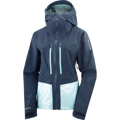 Salomon Mountain Gore-Tex Femme Bleu