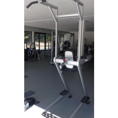 L+K Roman Chair With Pull Up Bar 