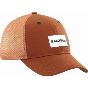 Salomon Trucker Curved Cap Marron