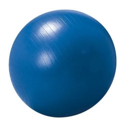 Ballon Gymnastique 65Cm